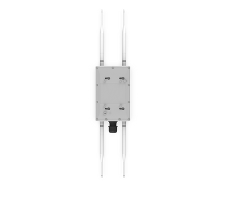 Altai CX600, rear heatsink and mount