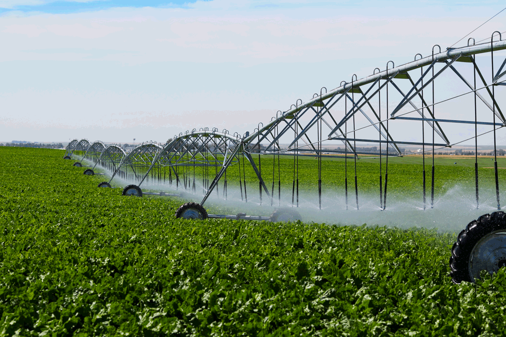 monitor and control irrigation
